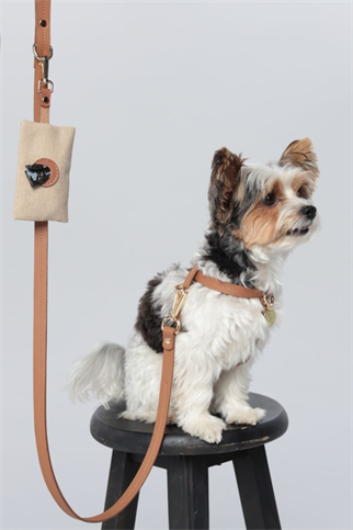 Zoe Pet Atelier Soft Touch Cross Göğüs Tasması Kahverengi 