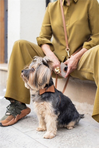 Zoe Pet Atelier SOFT TOUCH MULTI LEASH Kahverengi