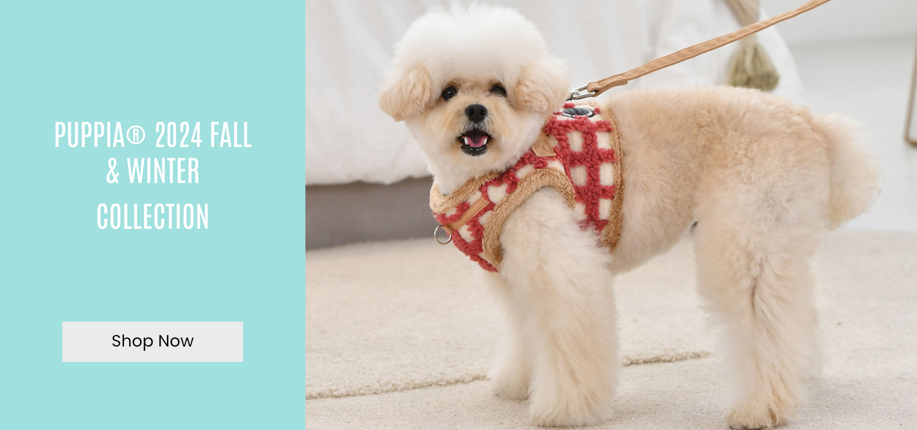 Puppia Fall Winter Colelction