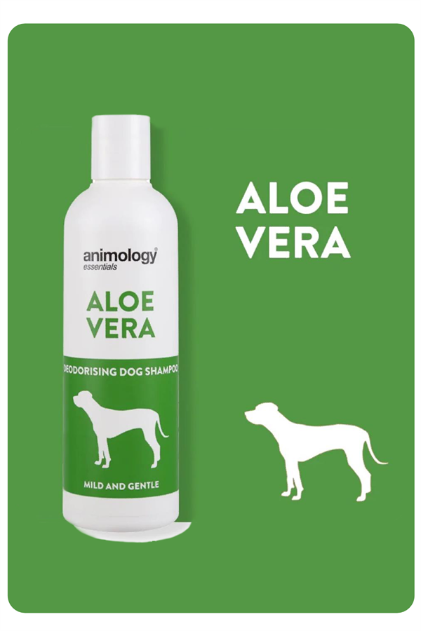 animology-essentials-aloe-vera-shampoo-6dc-b4.png