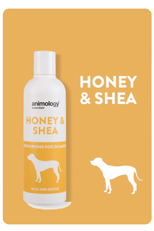 animology-essentials-honey-shea-shampo-23-803.png