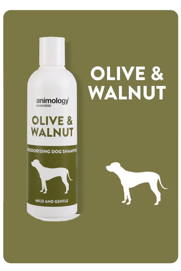 animology-essentials-olive-walnut-sham-b3-fdd.png