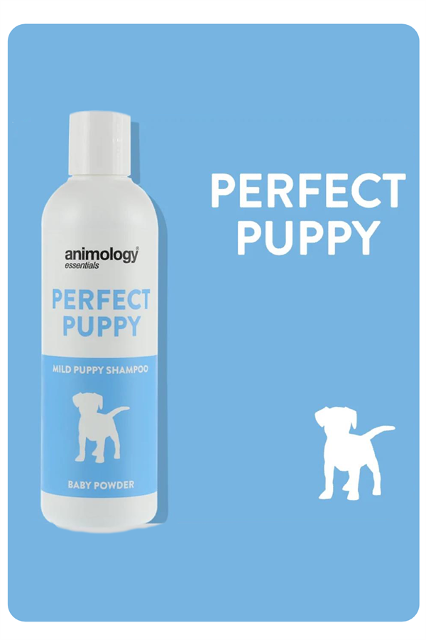 animology-essentials-perfect-puppy-sha-c3c-4f.png