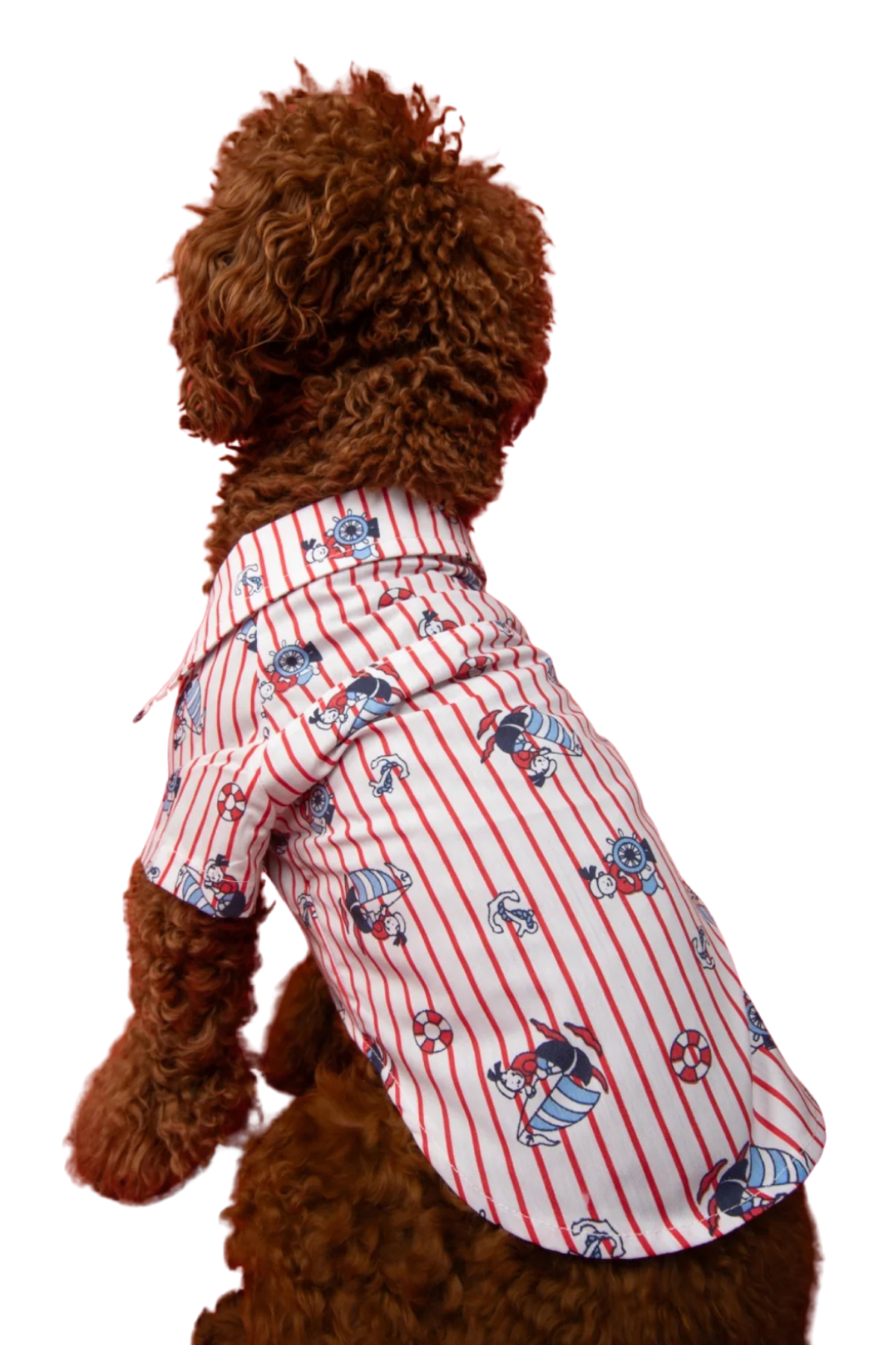 Goodboi Kırmızı Çizgili Poplin Kaptan Gömlek