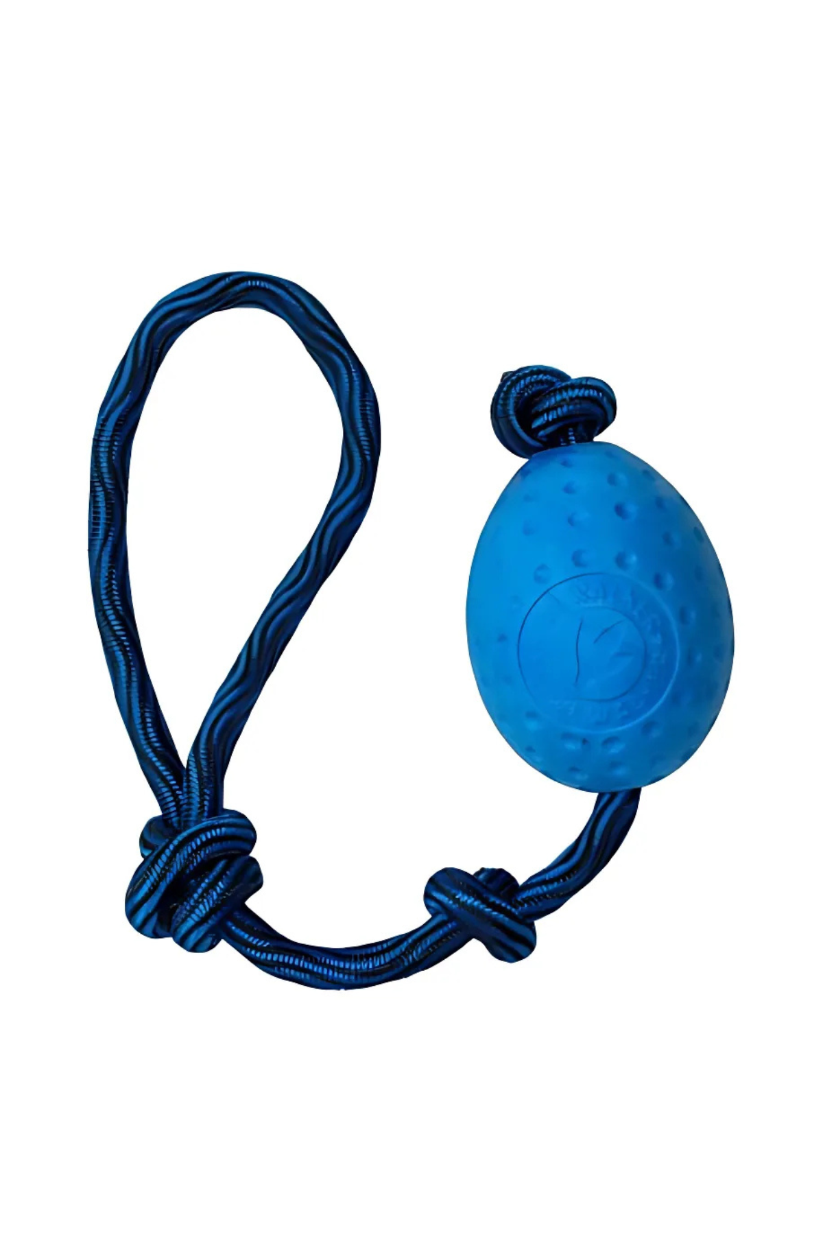 Kiwi Walker Egg - Mavi