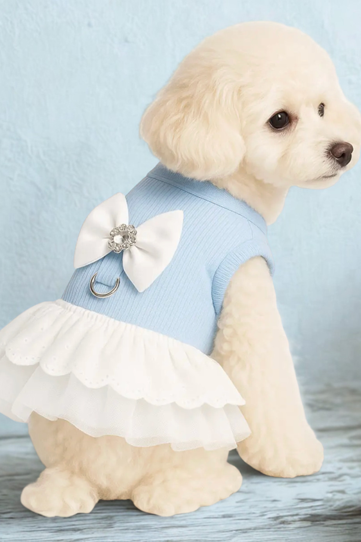 Dolce Pets Taşlı Fiyonk Elbise Mavi
