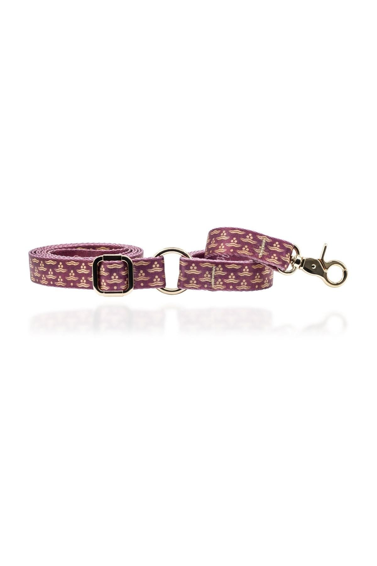 Lupinus Atelier Flexus Cerasus x Chintamani Köpek Gezdirme Kayışı