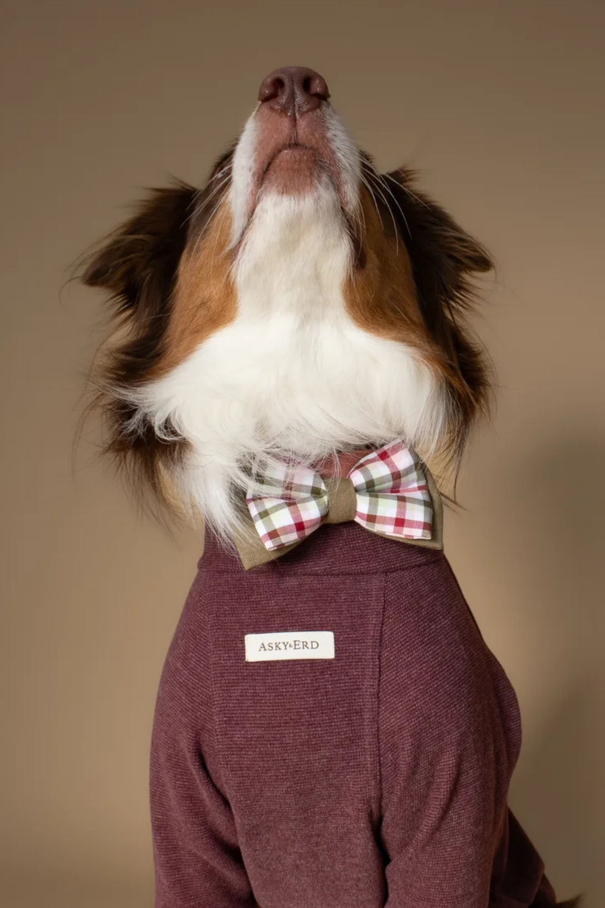 Asky&Erd Bow Tie | Mulberry Plaid