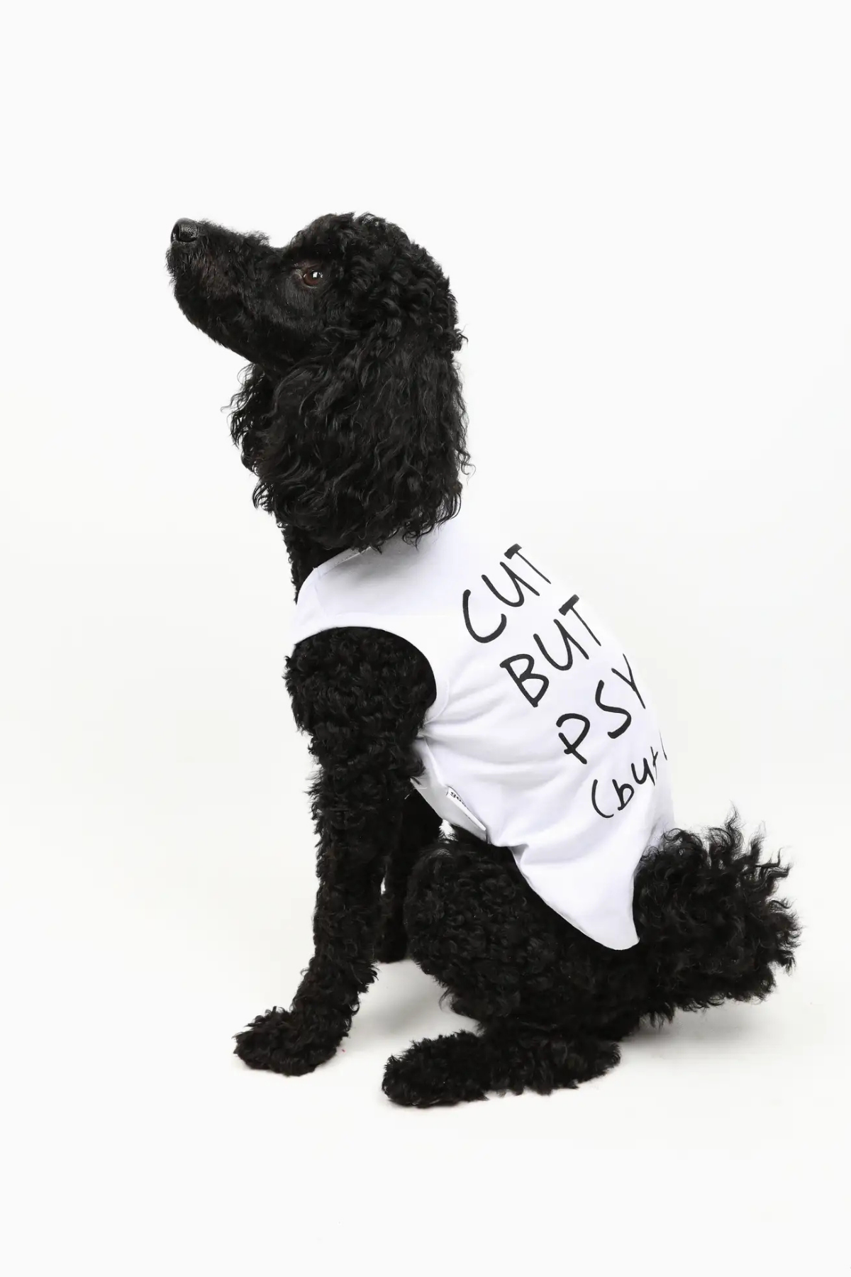 Goodboi Cute But Psycho But Cute Atlet