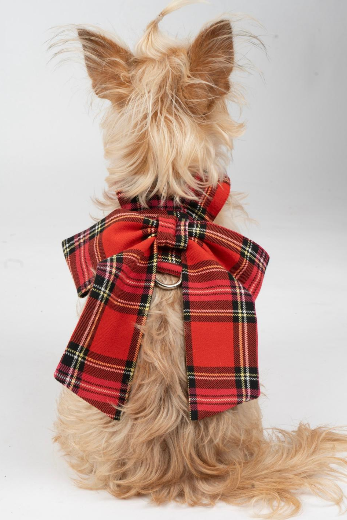 Doredog Fiyonklu Ekoseli Köpek Tasma 