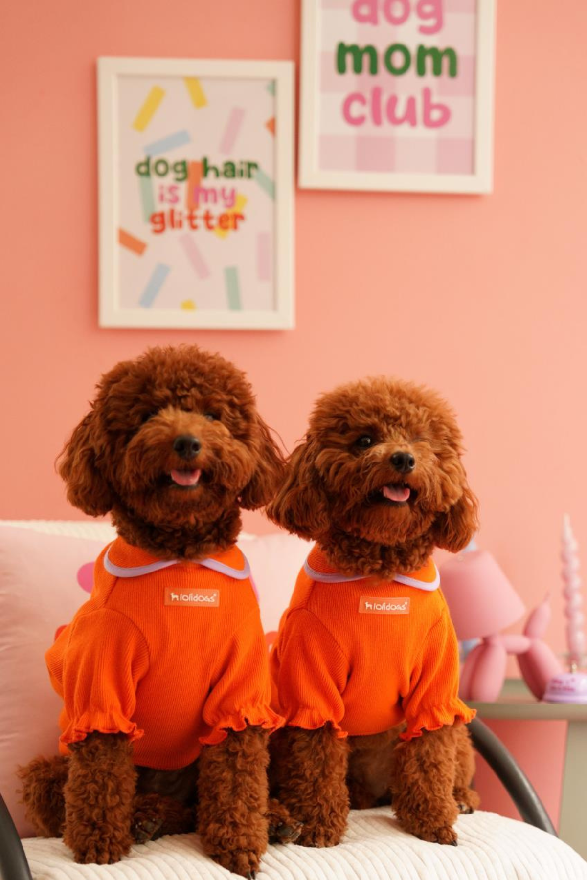 Lolidogs Basics Baby Neck | Orange