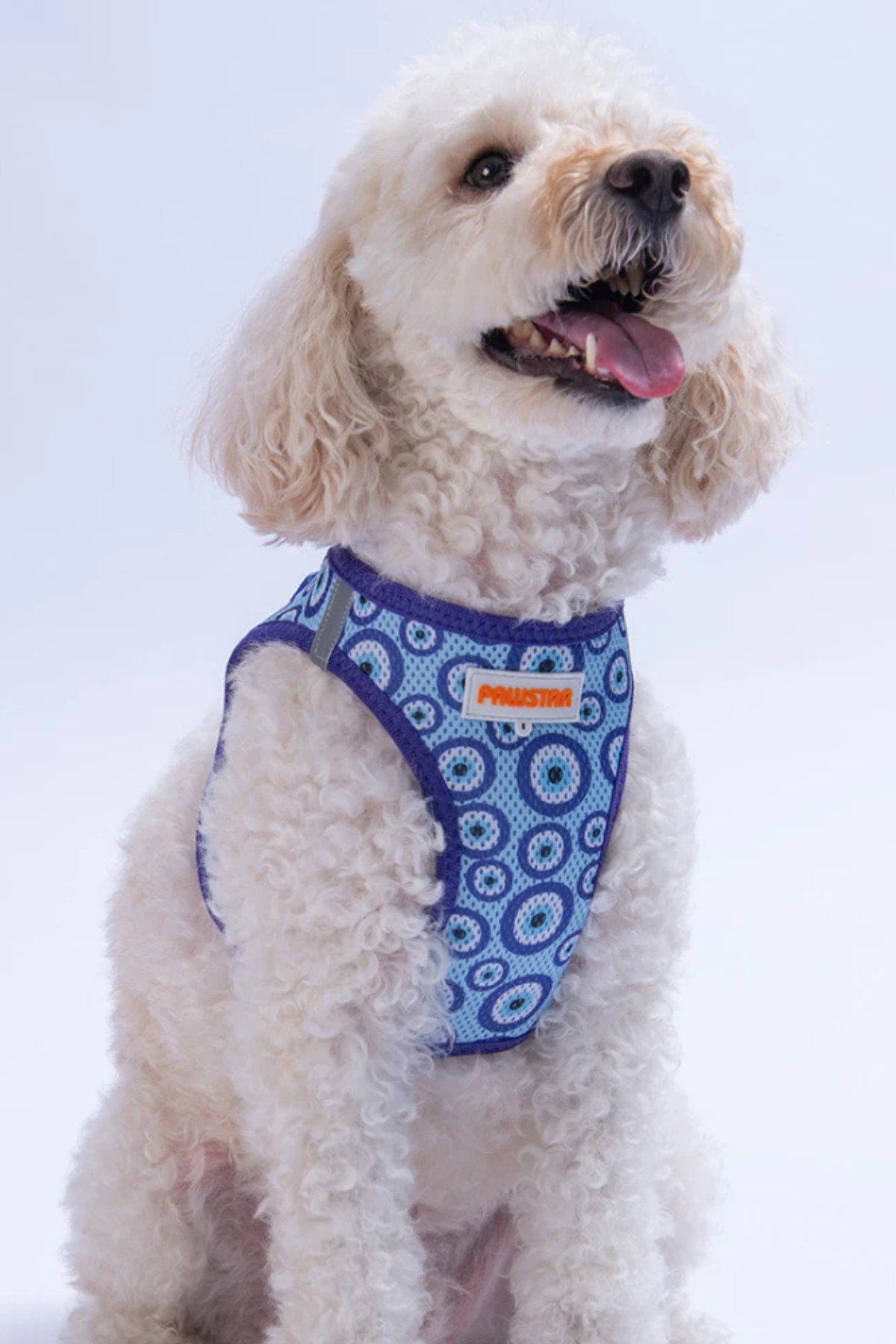 PawStar Nazar Boncuklu Köpek Göğüs Tasması 