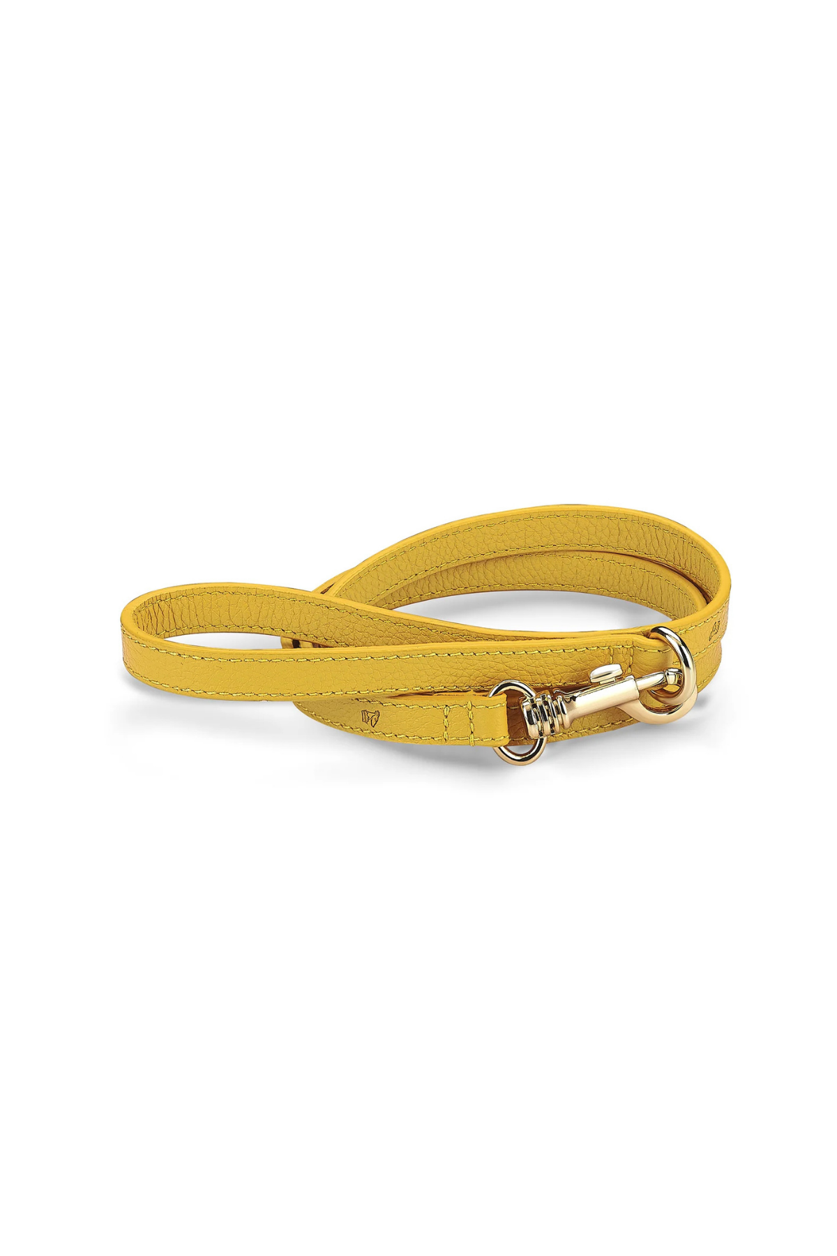 Lupinus Atelier Flavus x Yaga Köpek Gezdirme Kayışı Classic Sarı