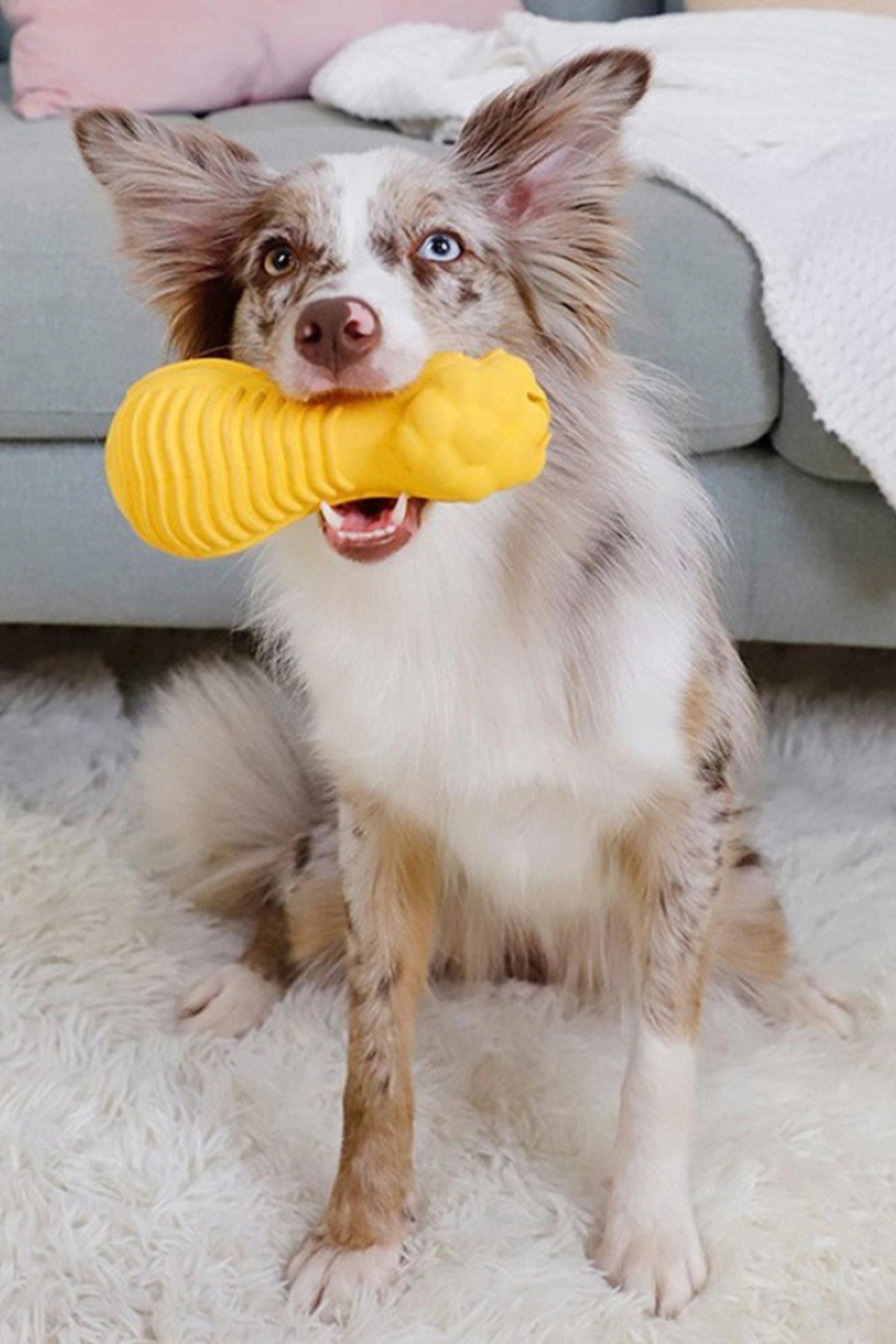 Gigwi Aslan Başlı Dambıl Köpek Oyuncağı 17cm (Sarı) [M]