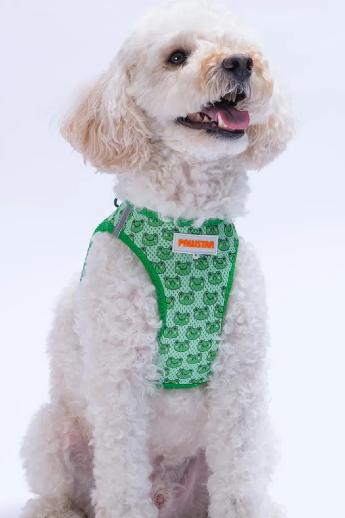 PawStar Frog Köpek Göğüs Tasması Yeşil