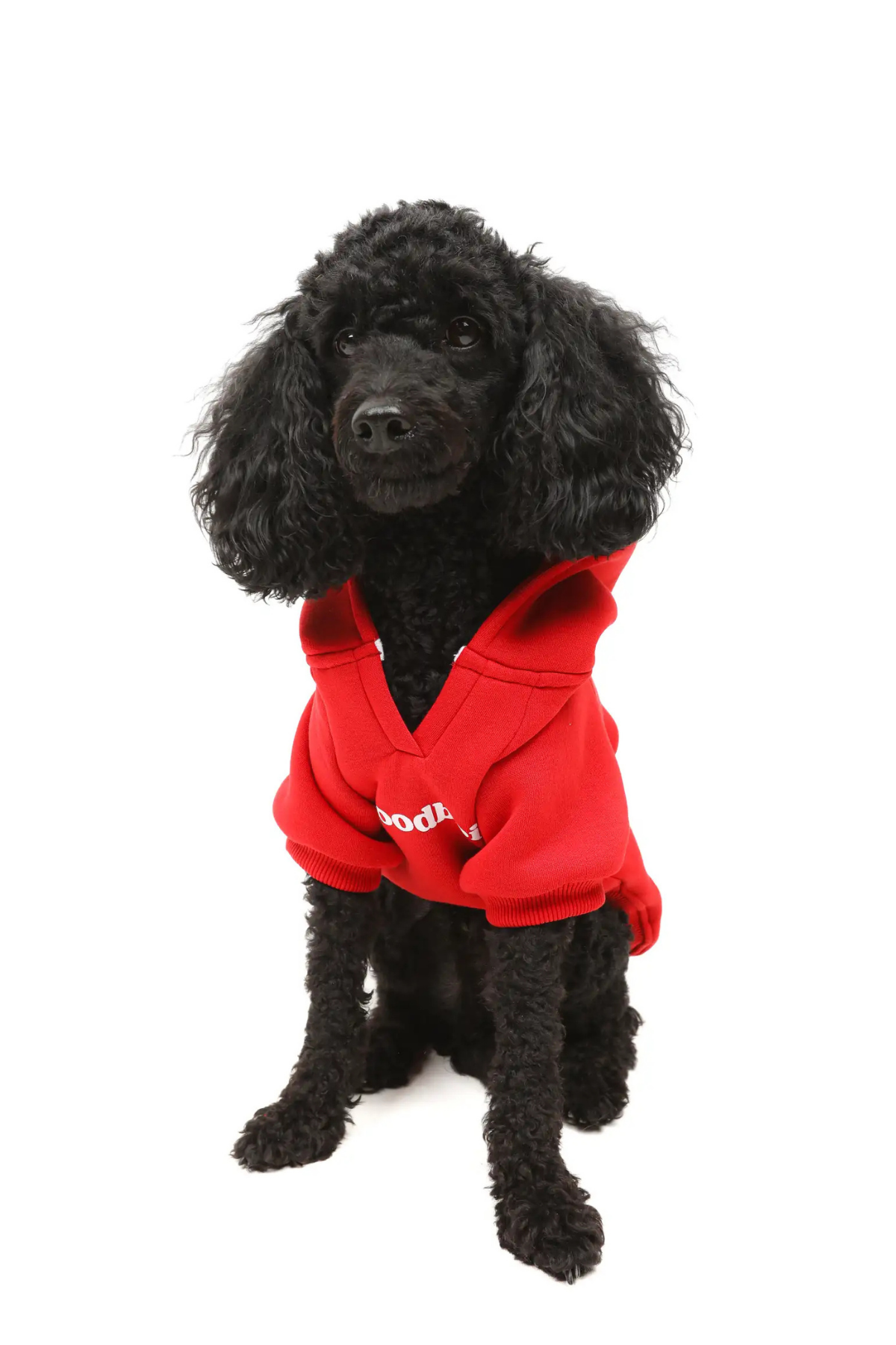 Goodboi Köpek Hoodie Kırmızı