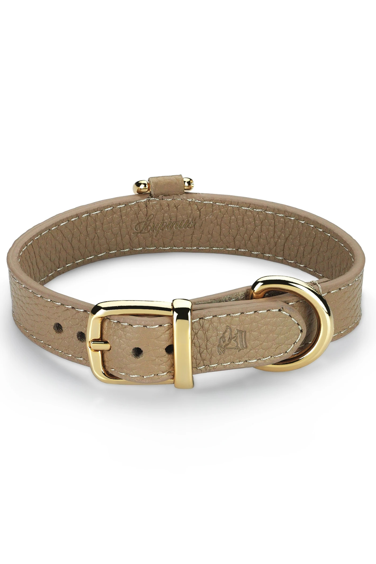 Duke Byssus Köpek Boyun Tasması