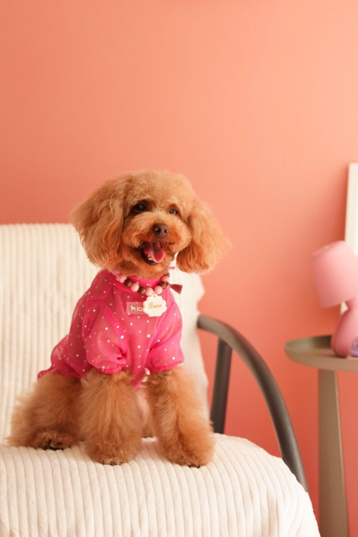 Lolidogs Işıltılı Köpek Tshirtü | Princess
