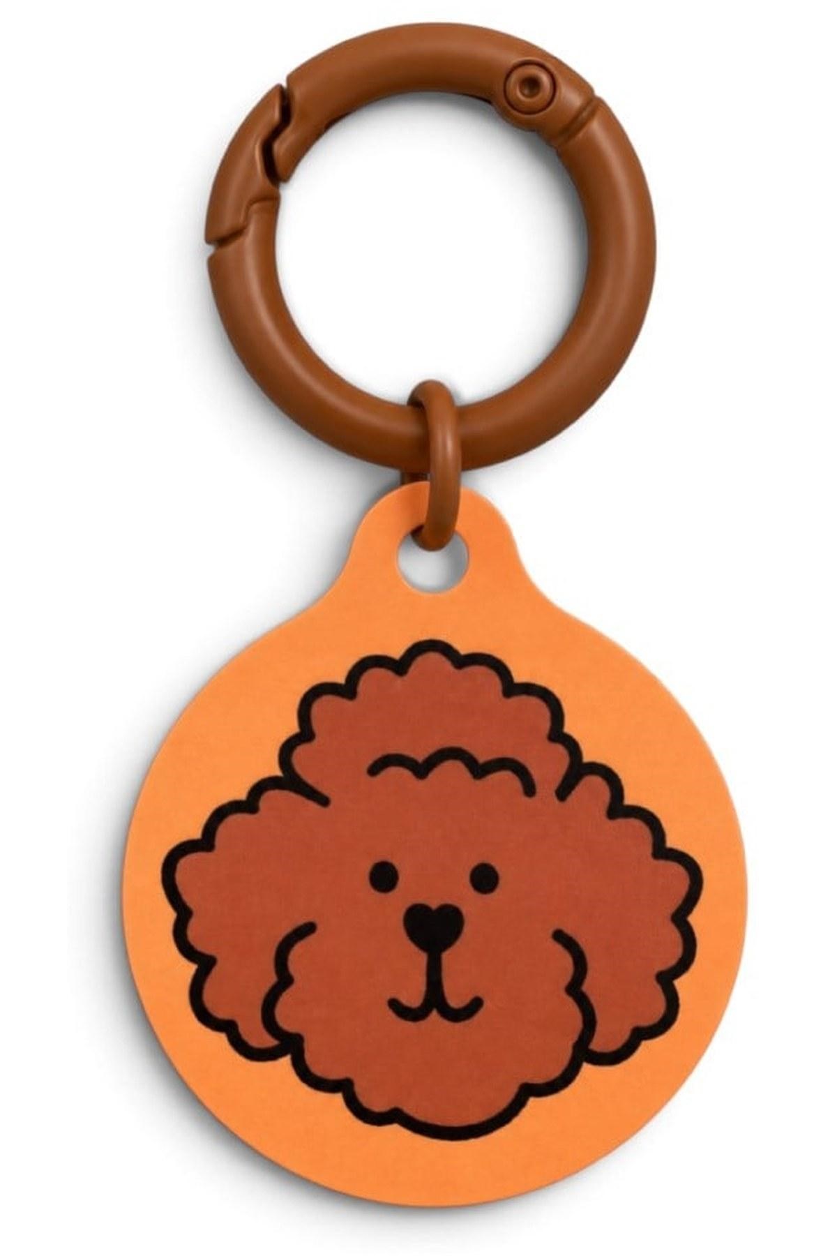 Lolidogs QR Dijital Köpek Künyesi Poodle Expresso