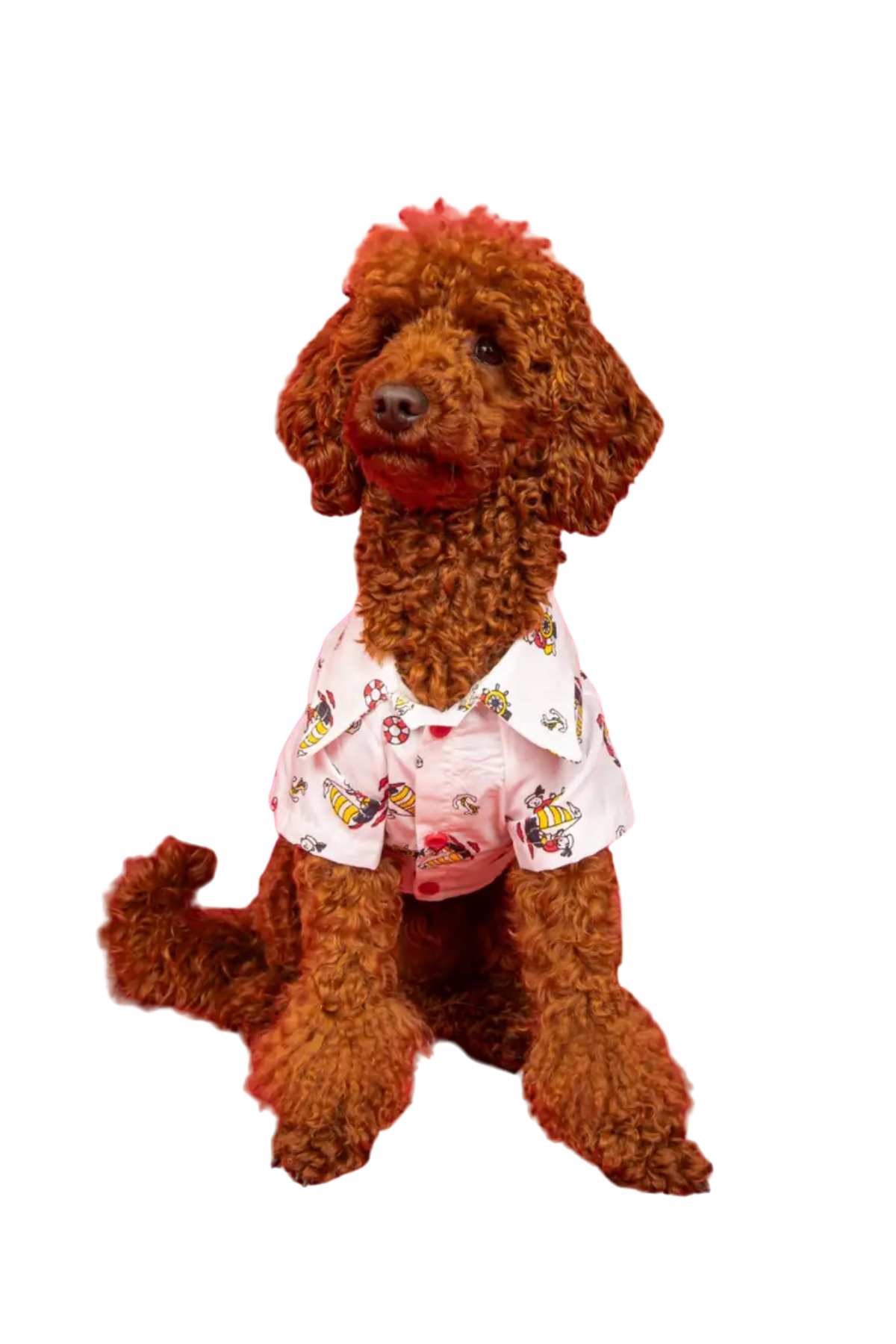 Goodboi Beyaz Poplin Kaptan Gömlek