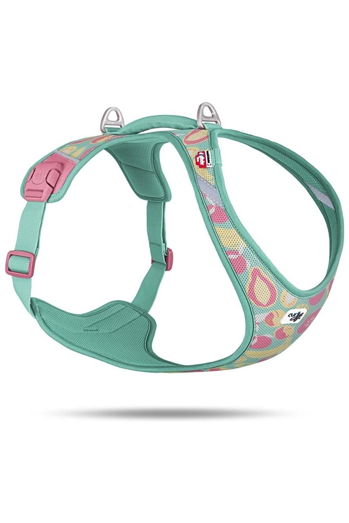 Curli Belka Köpek Göğüs Tasması Air-Mesh Juicy Fruits Turquoise