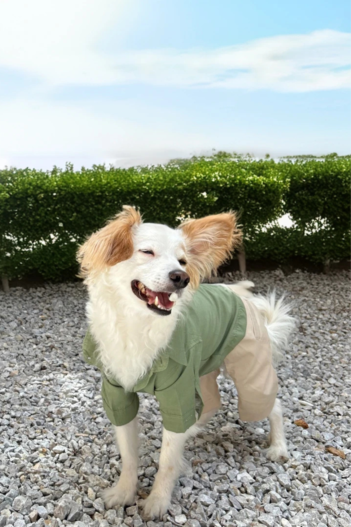 Ziggydog yeşil gömlekli krem pantolonlu tulum