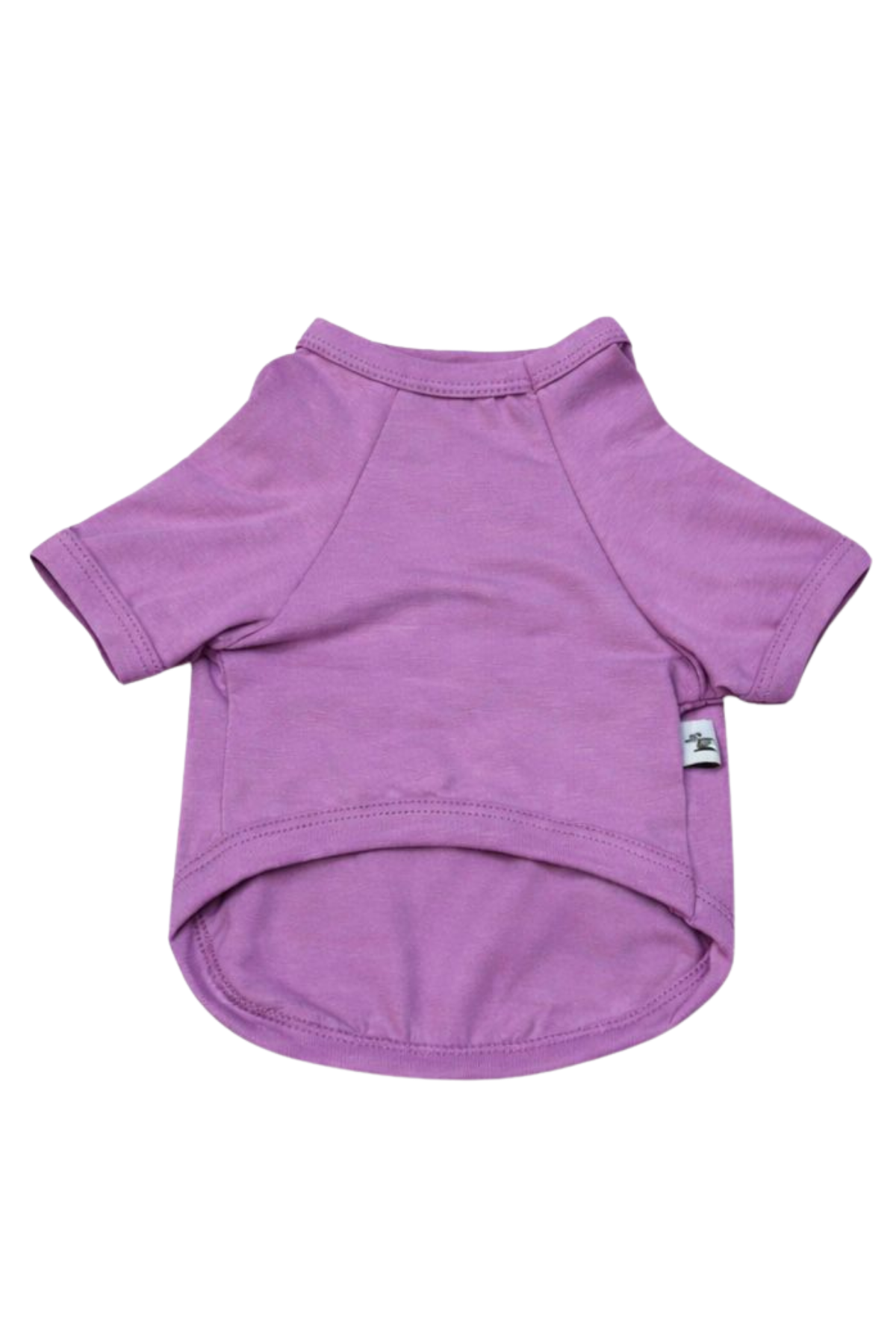 Ziggy Dog Köpek T-shirt Lila