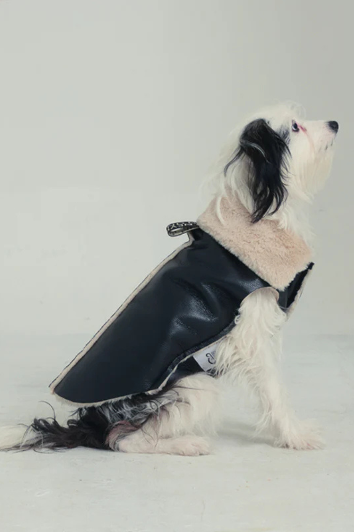 Godoist Nappa Köpek Montu - Nappa Leather Jacket