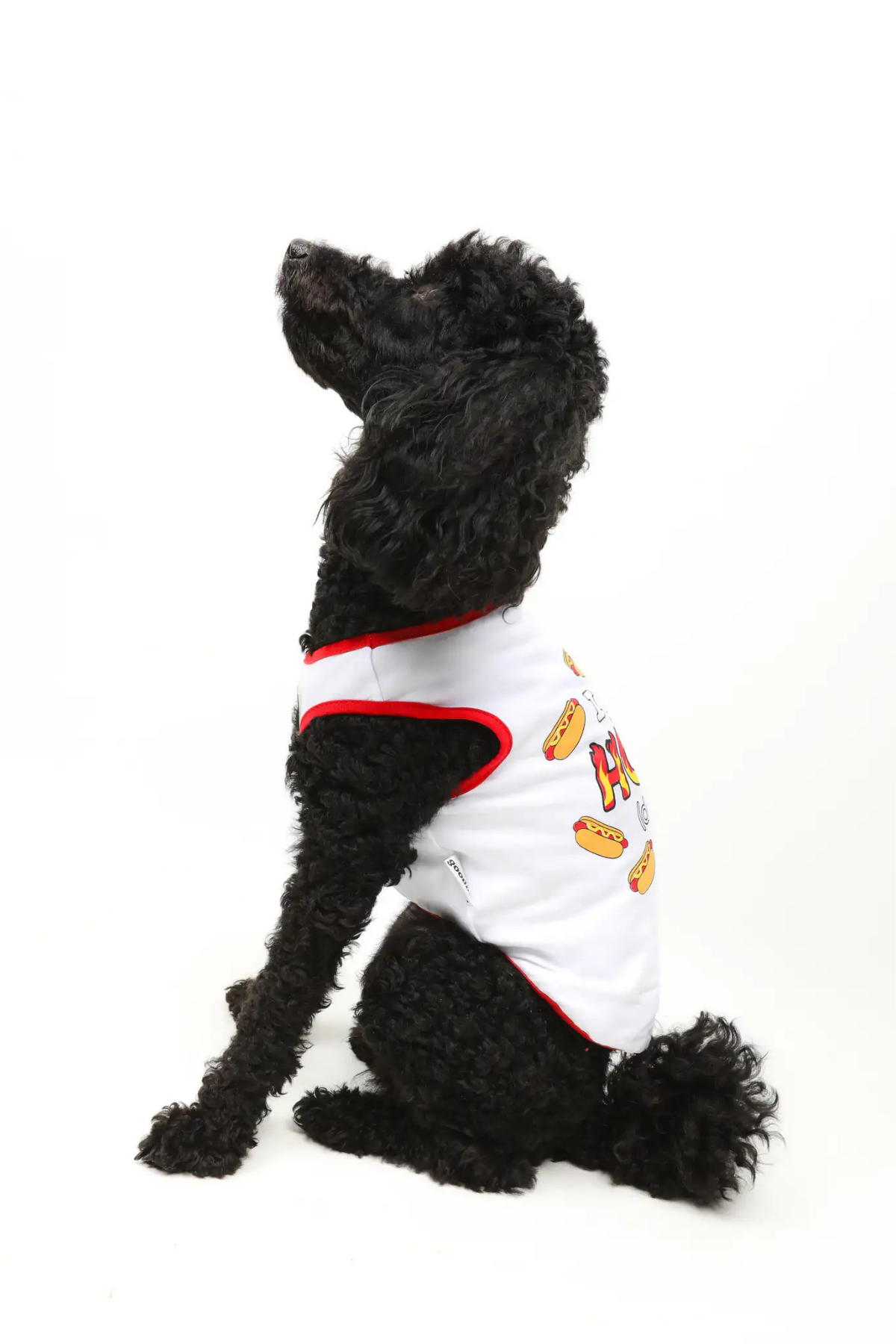 Goodboi Hot Dog Atlet