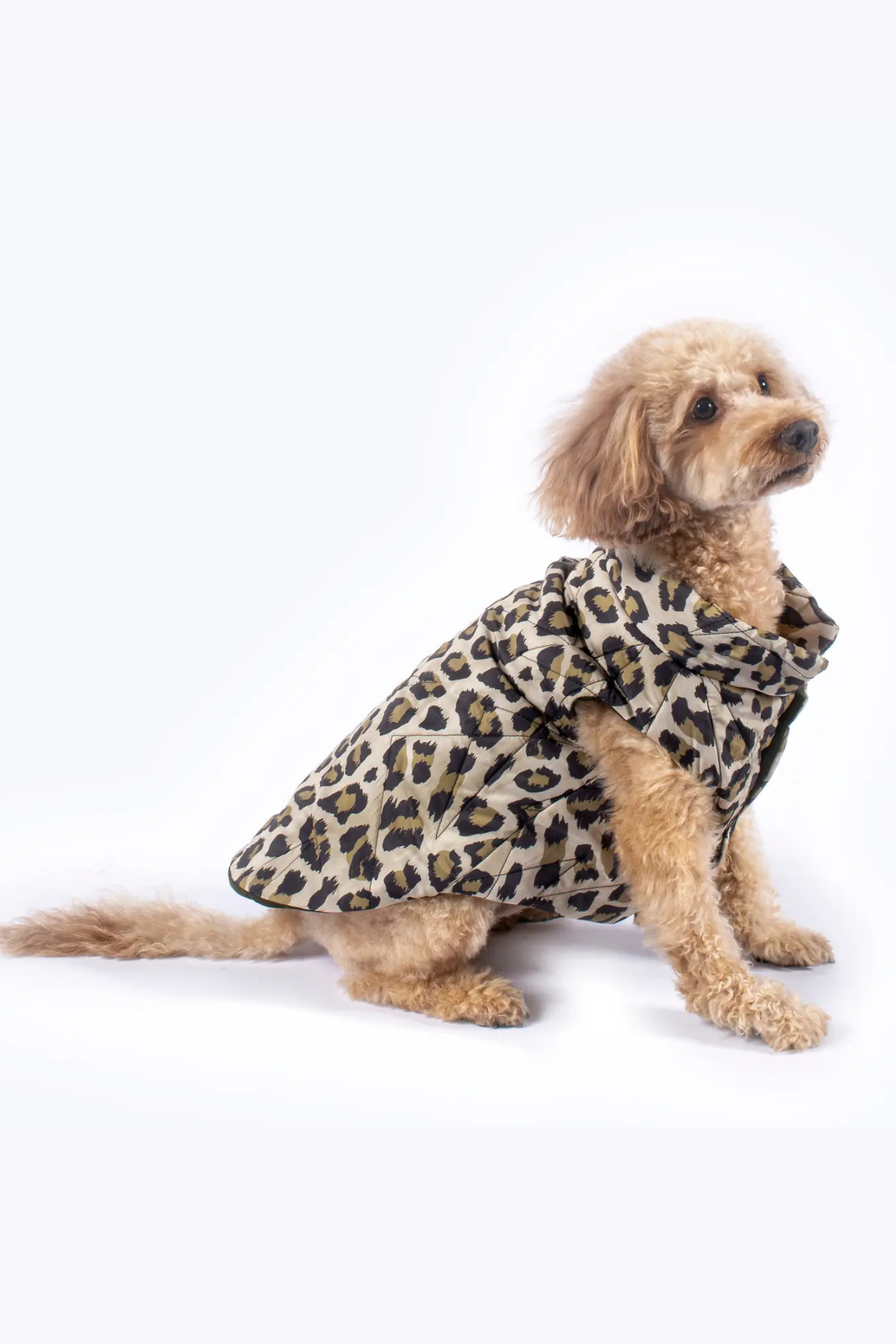 Kajuland Nomad Leopard Kapitone Yelek Yeşil
 