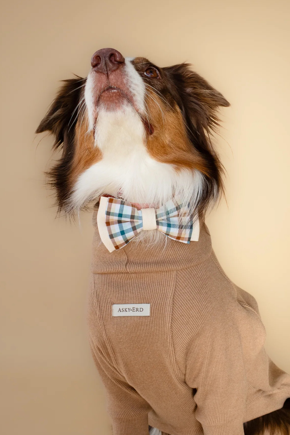 Asky&Erd Bow Tie Cedar Plaid Papyon