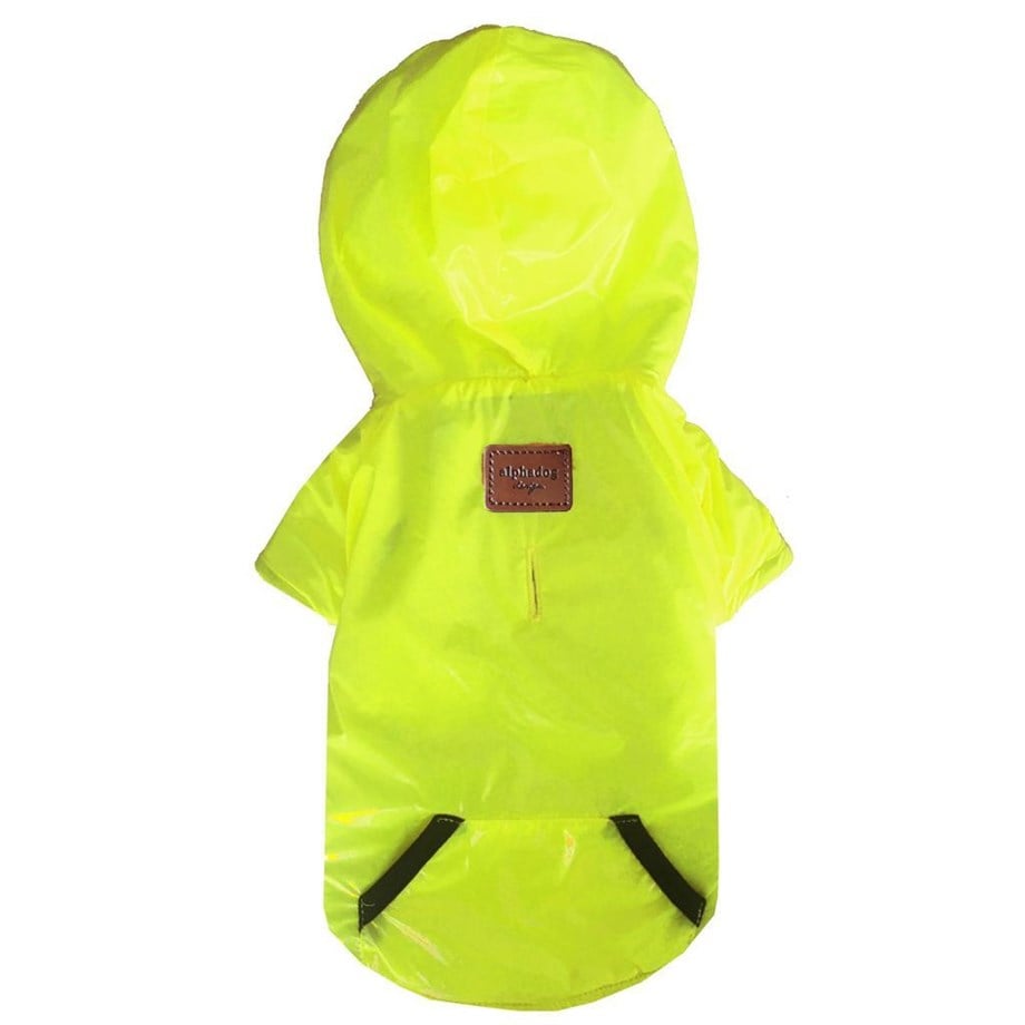 Alphadog Design Flash Yellow Köpek Montu