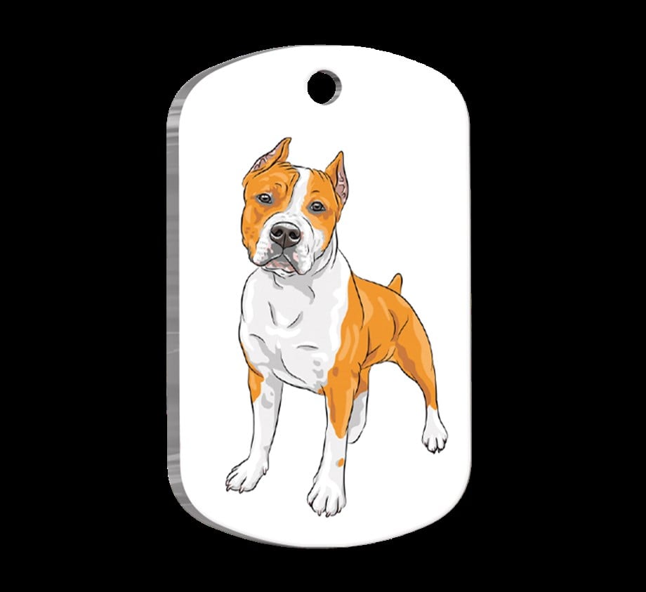 American Staffordshire Terrier Illustrated Dog Tag