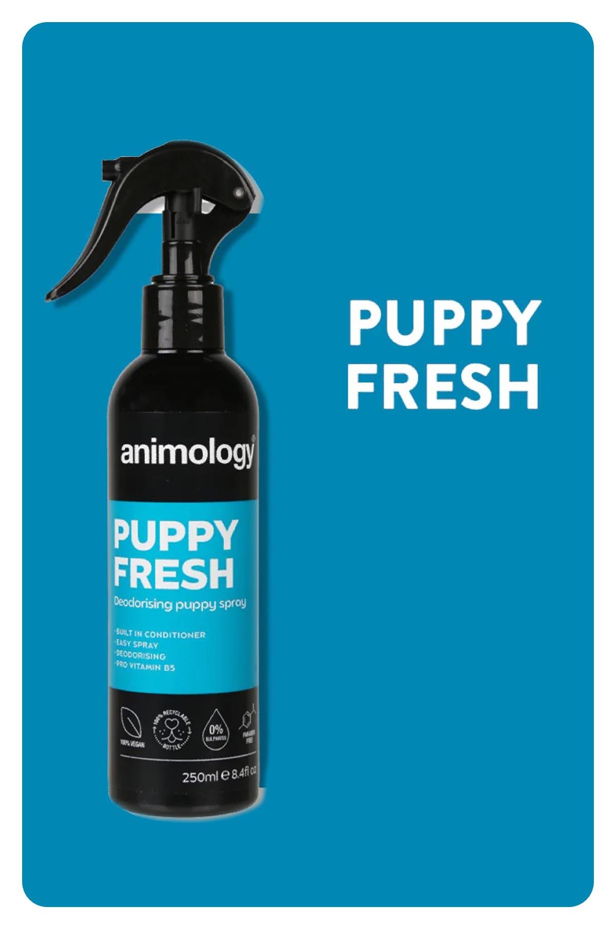 Animology Puppy Fresh Spray Bad Odor Removal Puppy Dog Maintenance Spray 250 Ml
