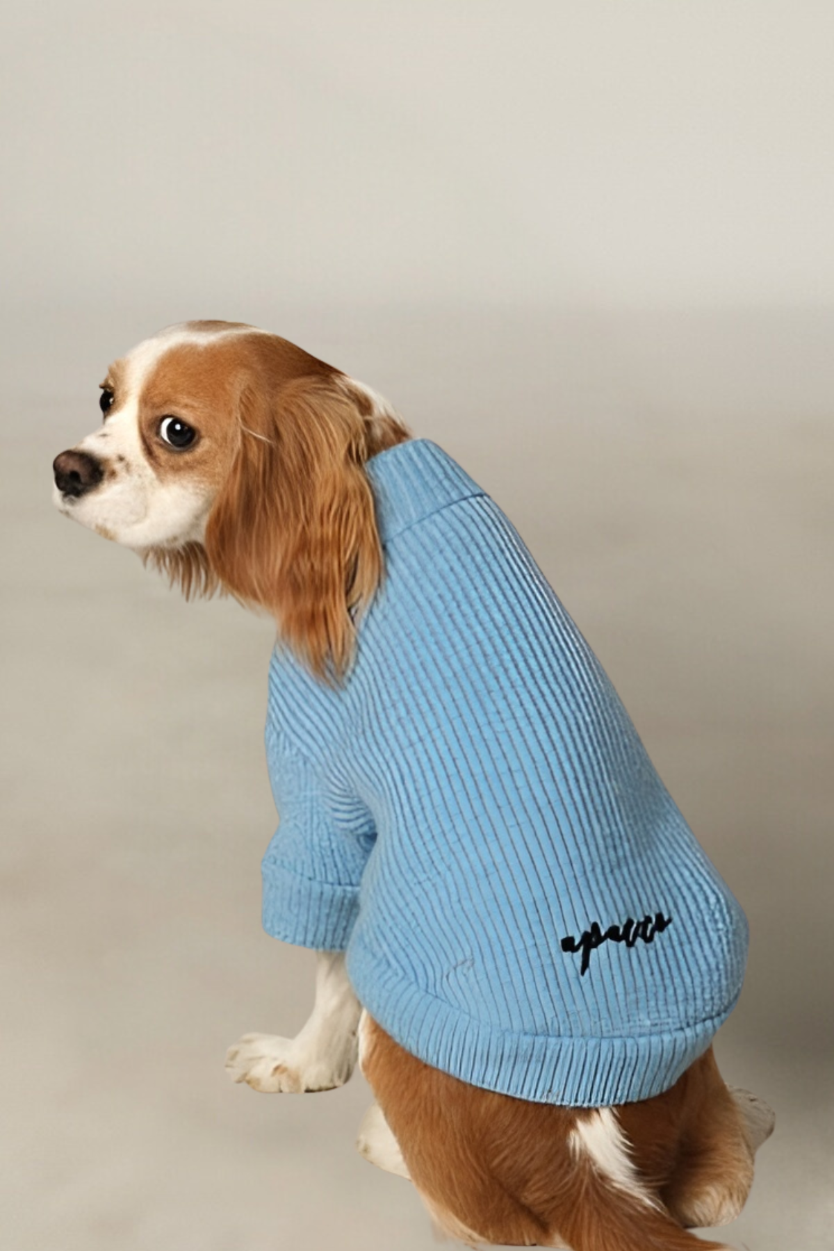 Apac.co Basic Mavi Triko Köpek Kazağı