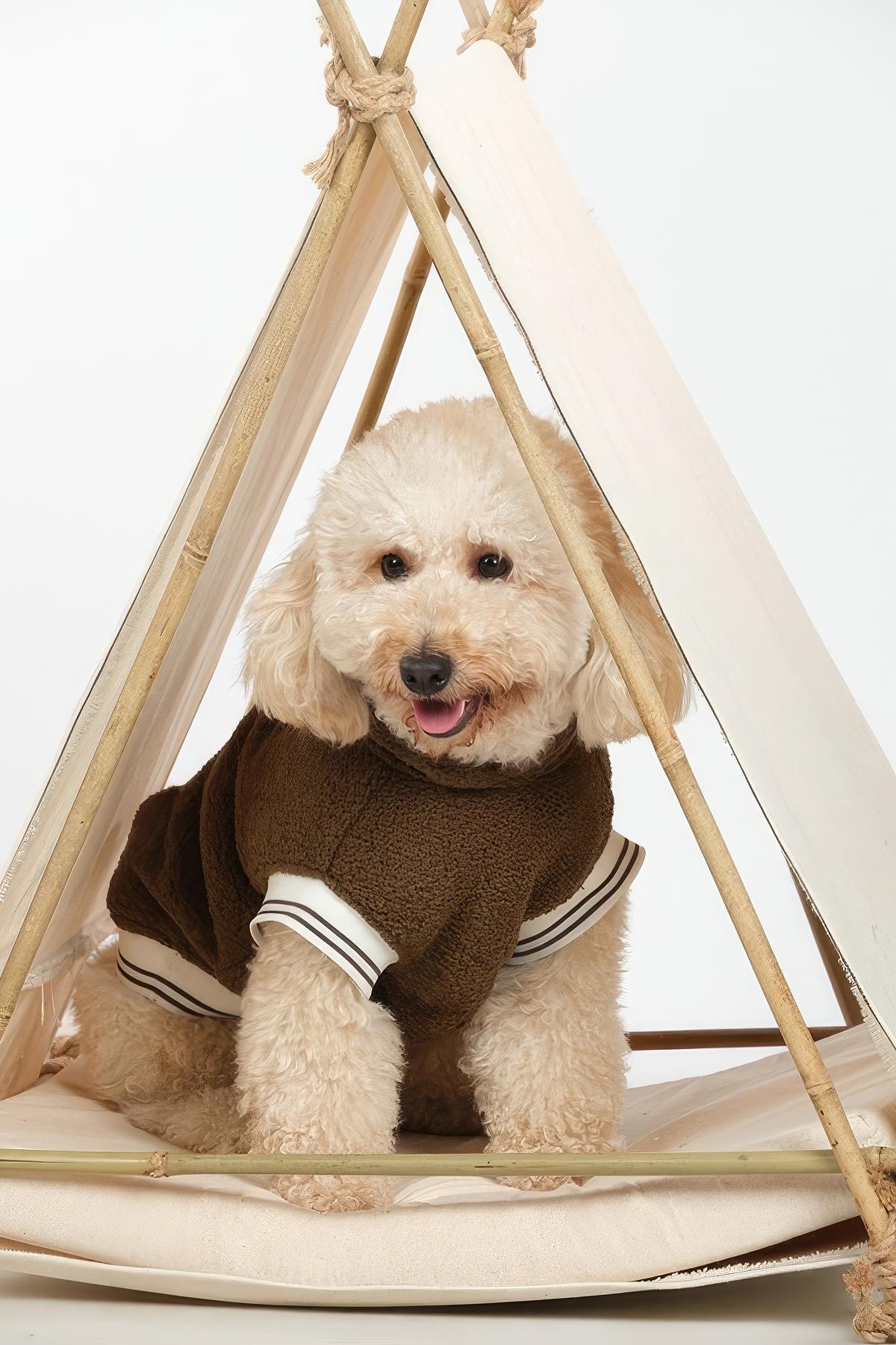 apac.co-fluf-haki-kopek-hoodie-4b-944.jpg
