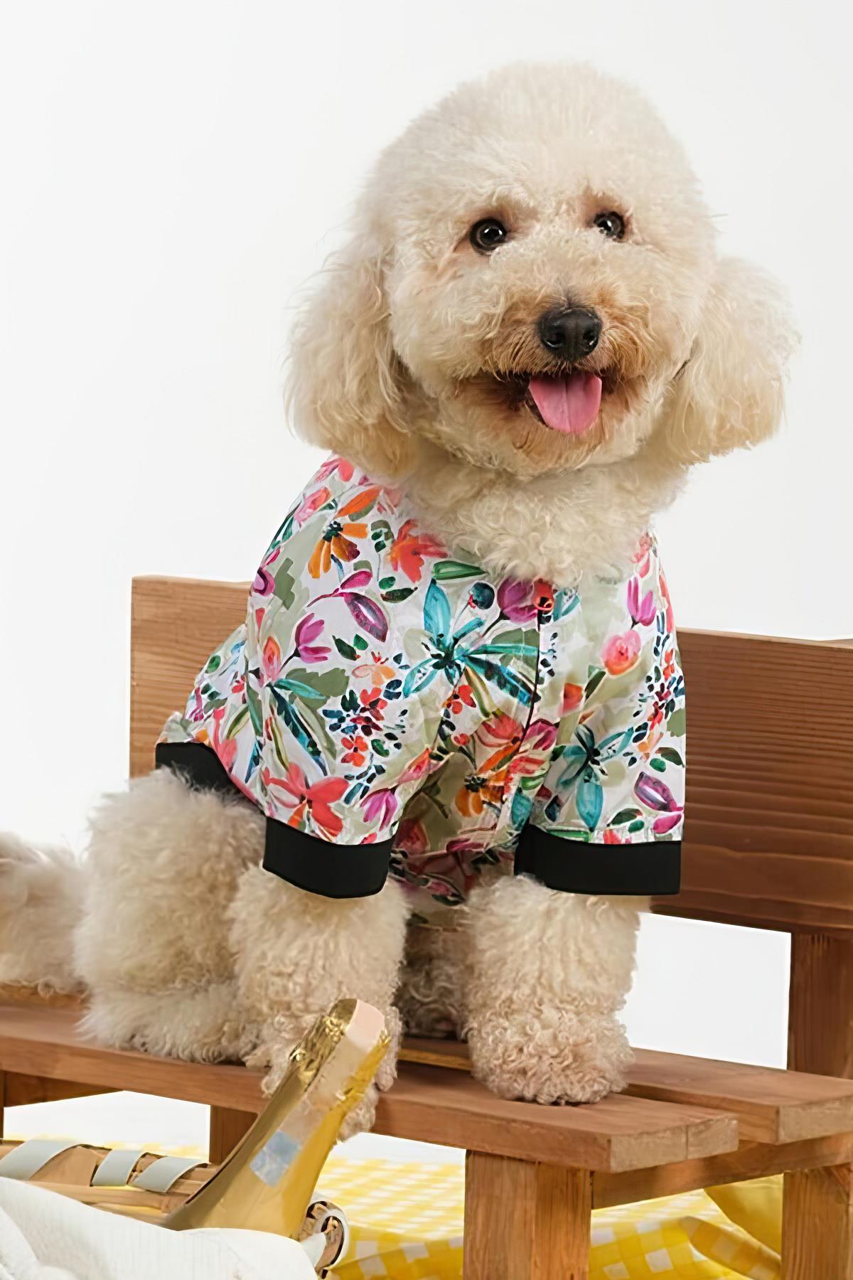 apac.co-hollie-hawaii-bomber-ce06d-.jpg