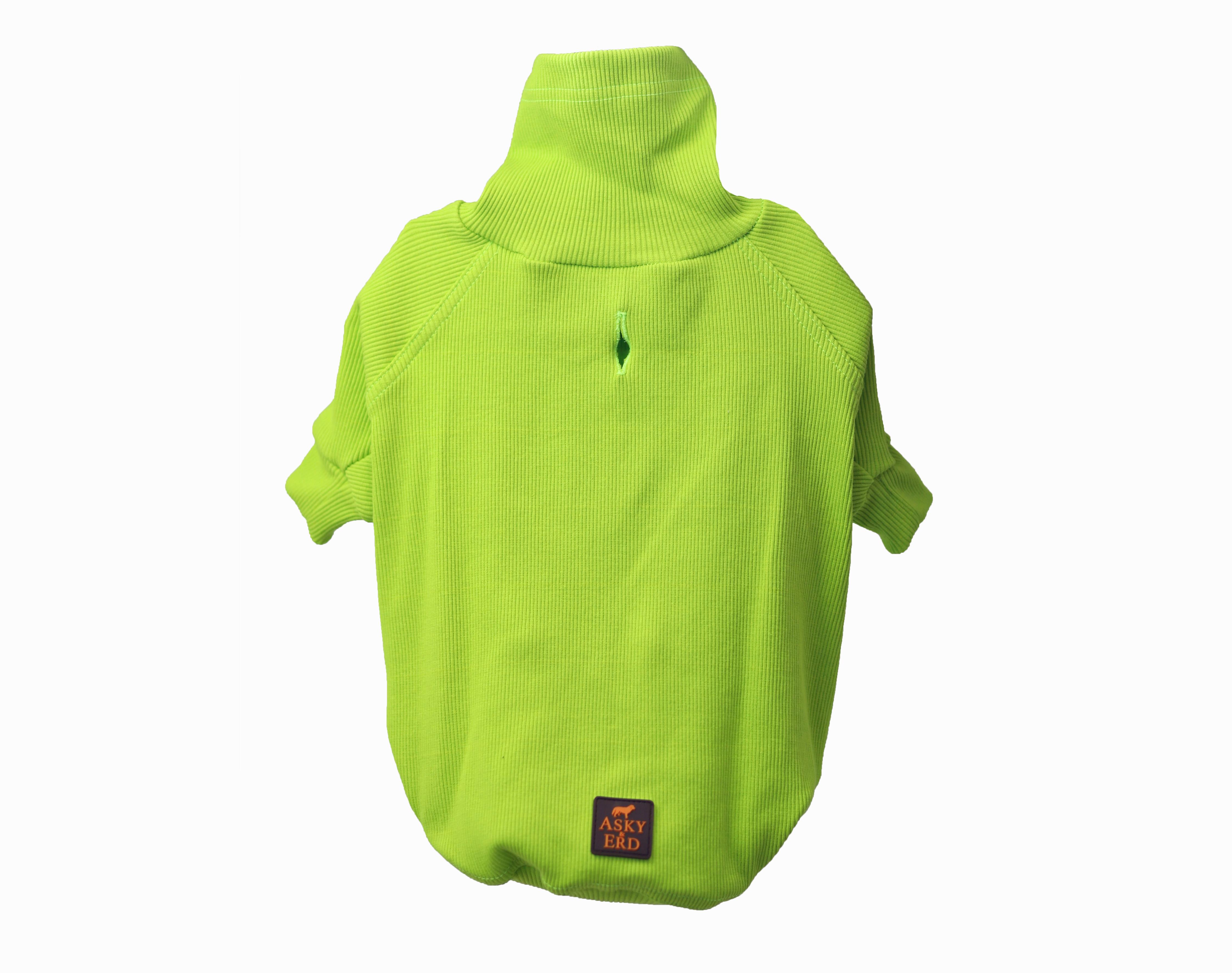 Asky and Erd Turtleneck Tshirt | Lime Köpek Sweatshirt