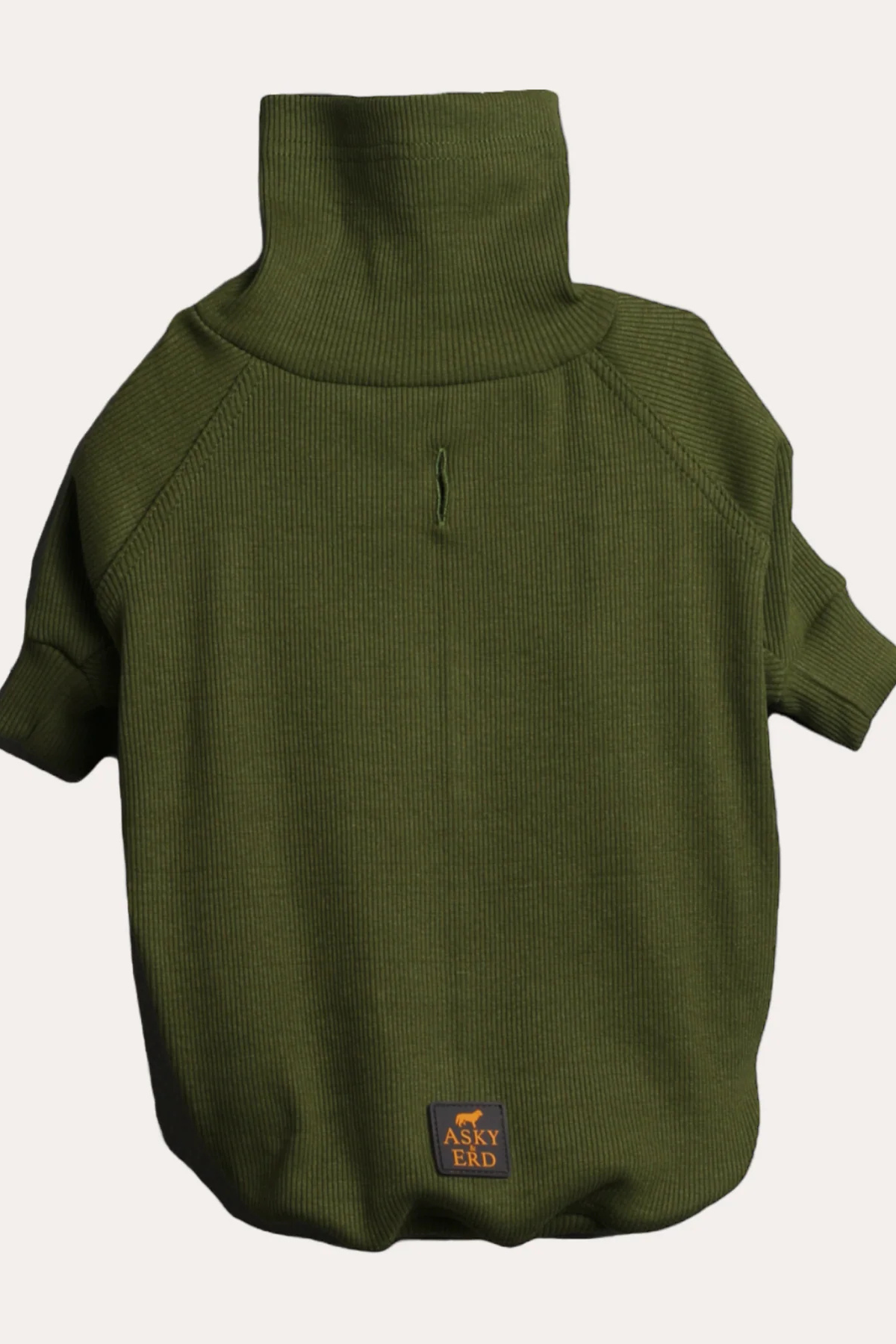Asky and Erd Turtleneck Tshirt | Olive Köpek Sweatshirt