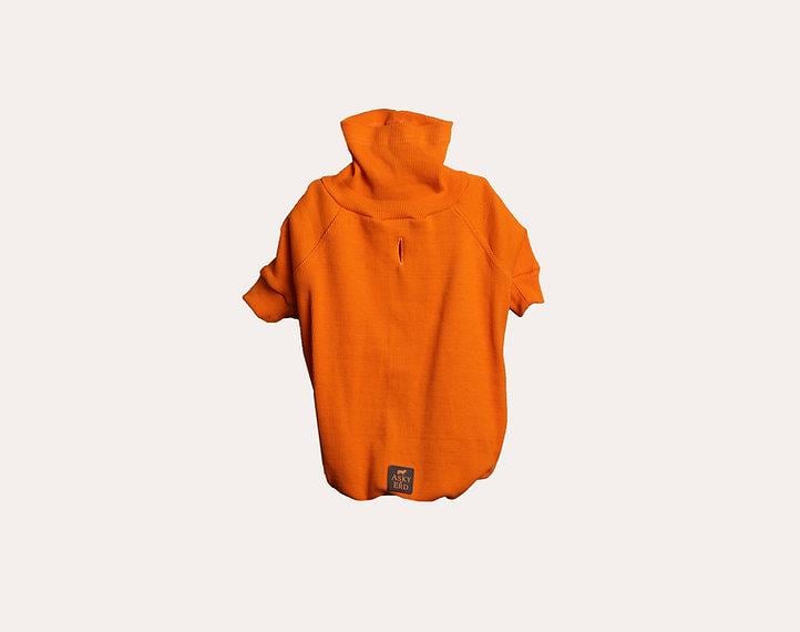 Asky and Erd Turtleneck Tshirt | Tangerine Köpek Sweatshirt