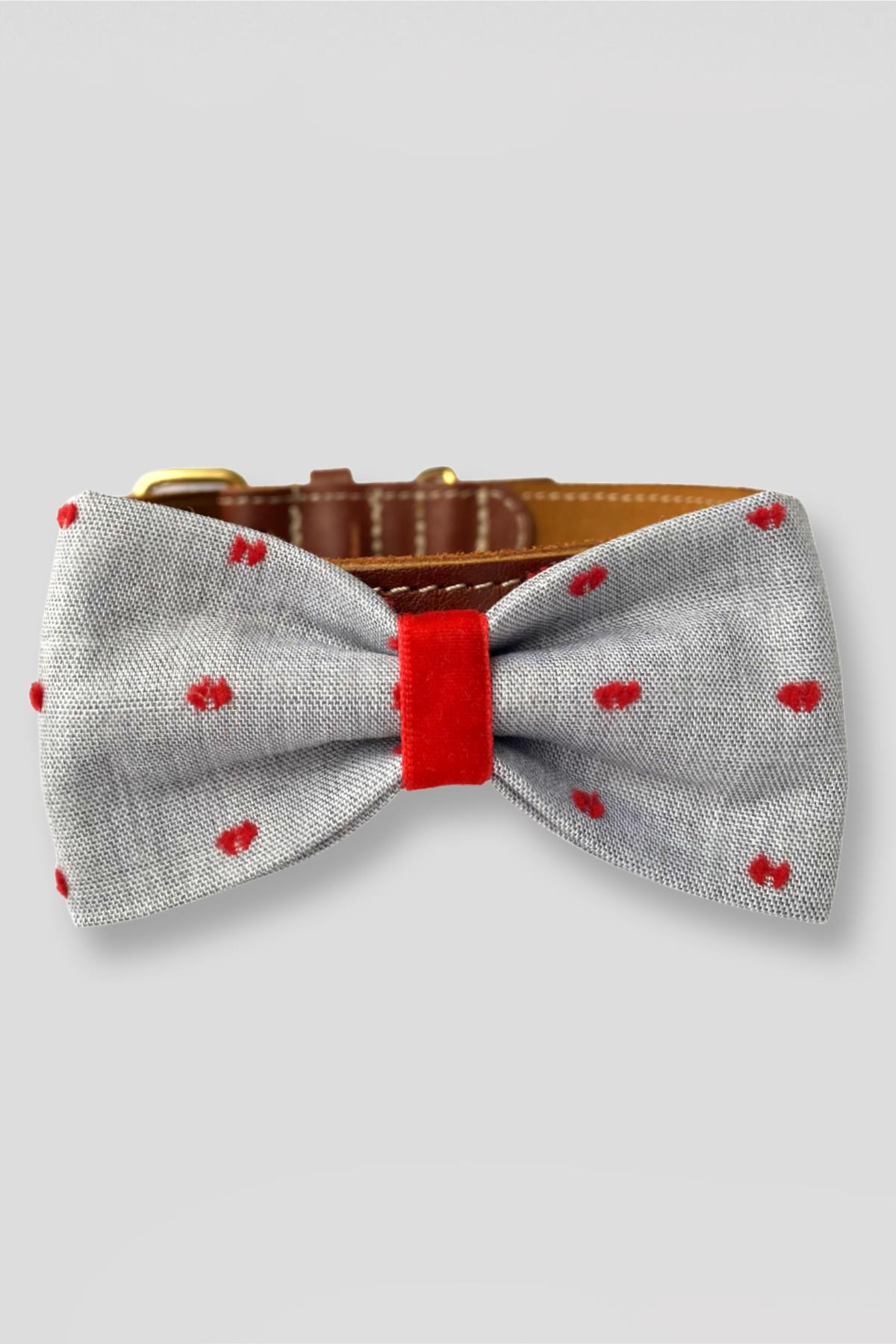 askyerd-bow-tie-red-dots-kopek-papyon-9959b0.jpg