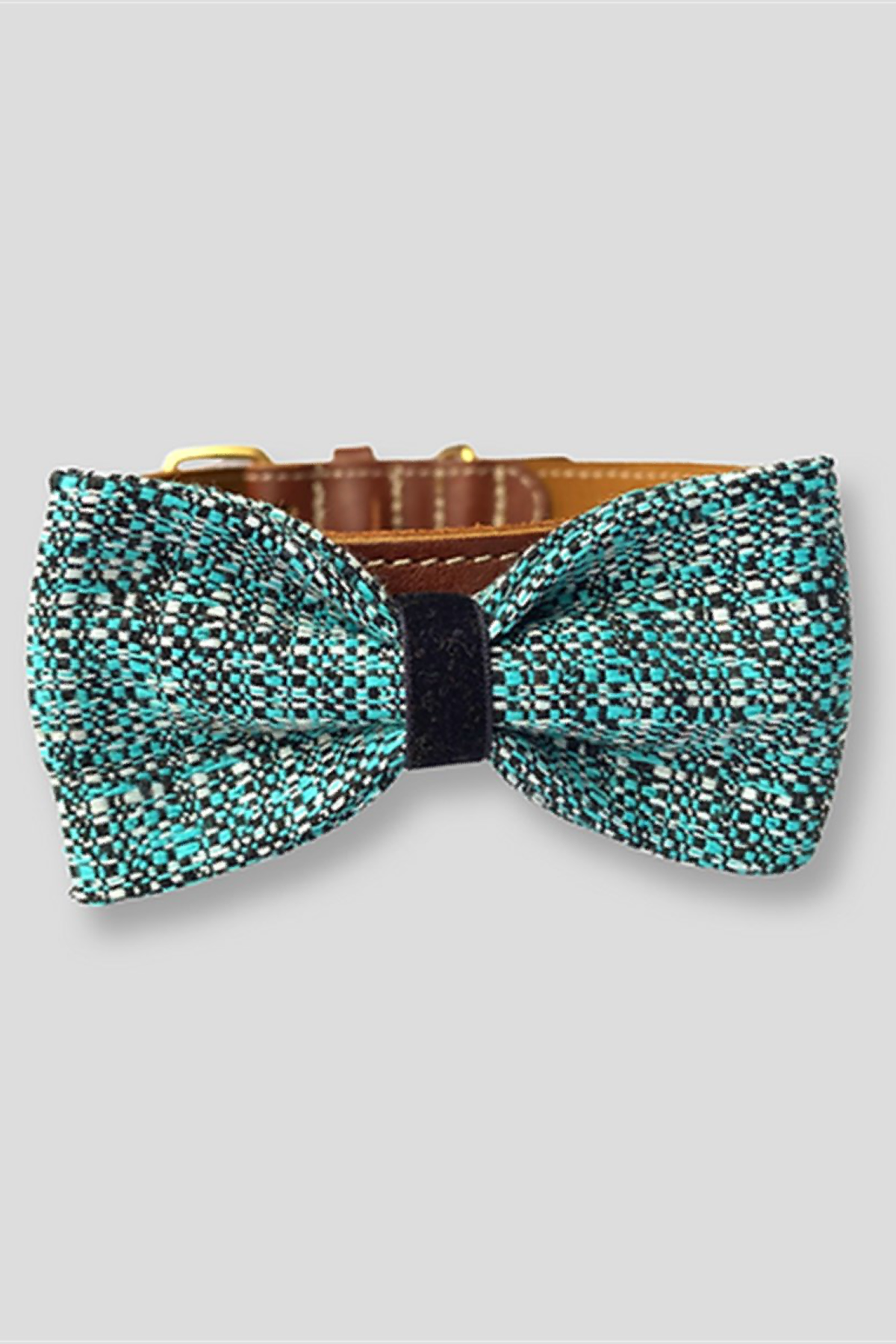 Asky&Erd Bow Tie Teal Black Köpek Papyon