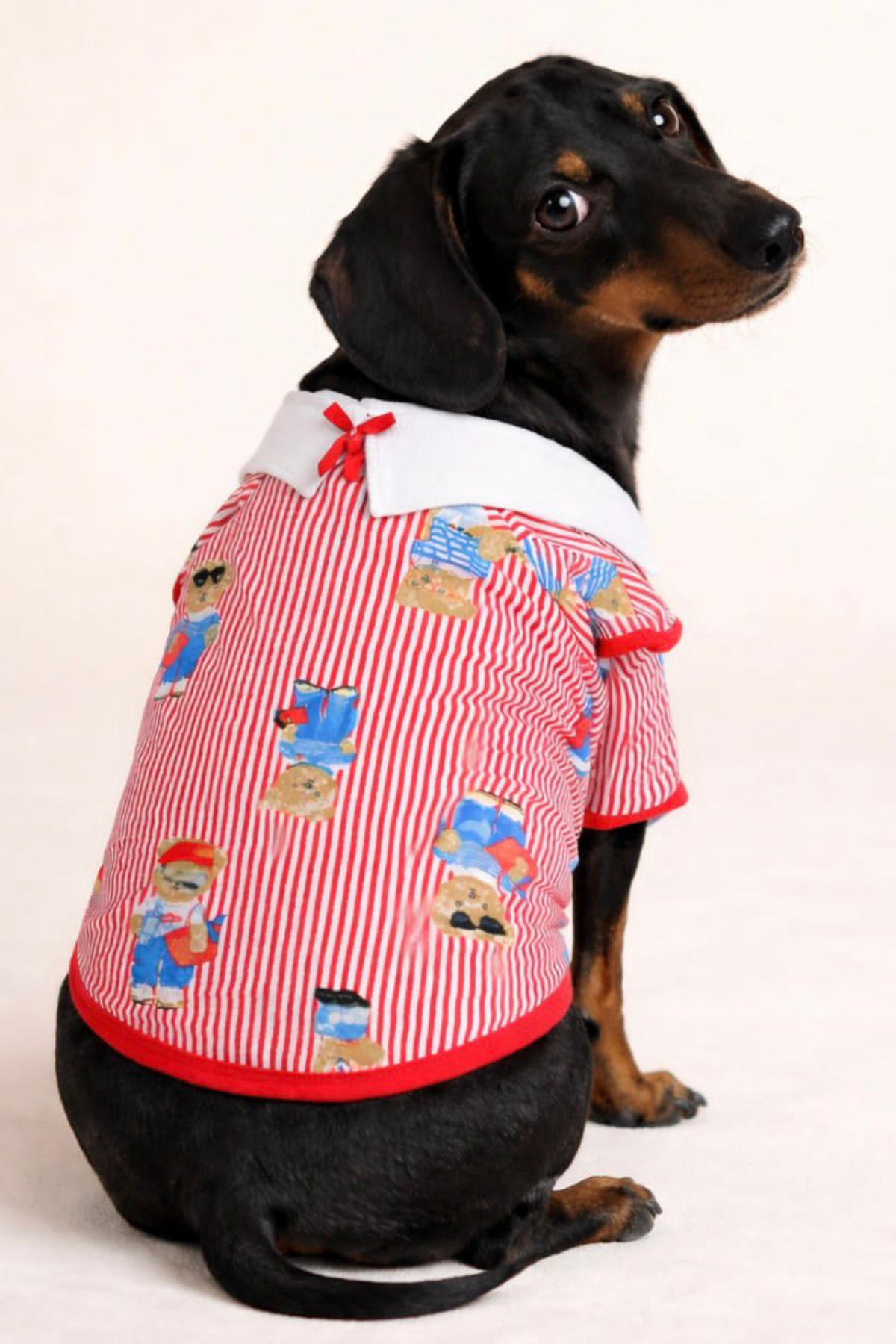 Alphadog Ayıcıklı Çizgili Yakalı Köpek Tshirt Kırmızı