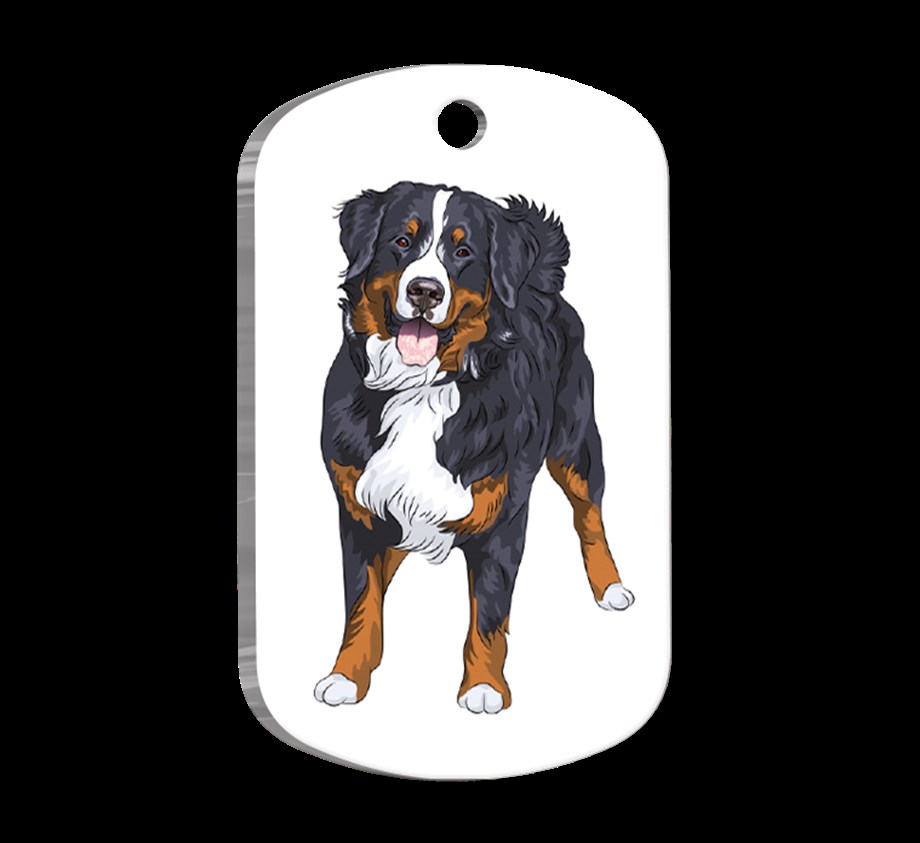 Bernese Mountain Illustrated Dog Tag