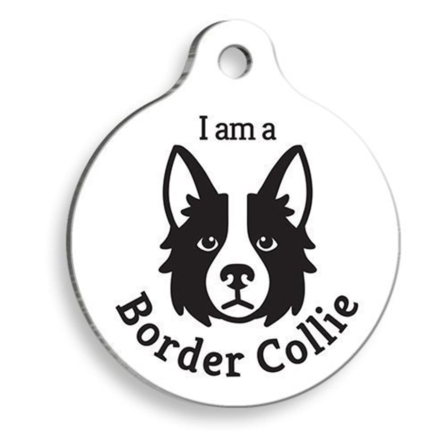 White Border Collie Round Dog Tag