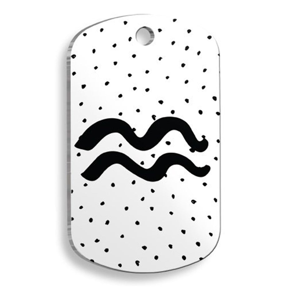 White Color Aquarius Soldier Soldier Shaped Cat And Dog Tag