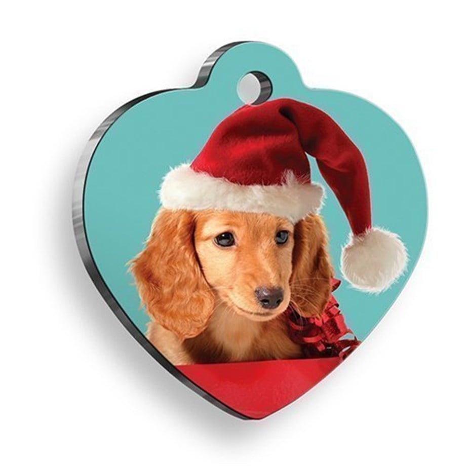Blue Dog Heart Dog Tag