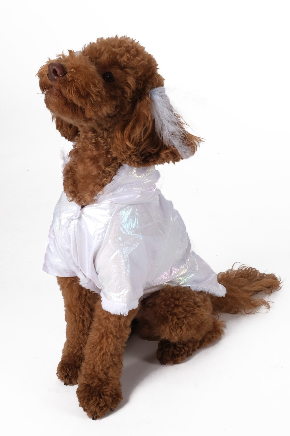 Doredog Beyaz Parlak Mont