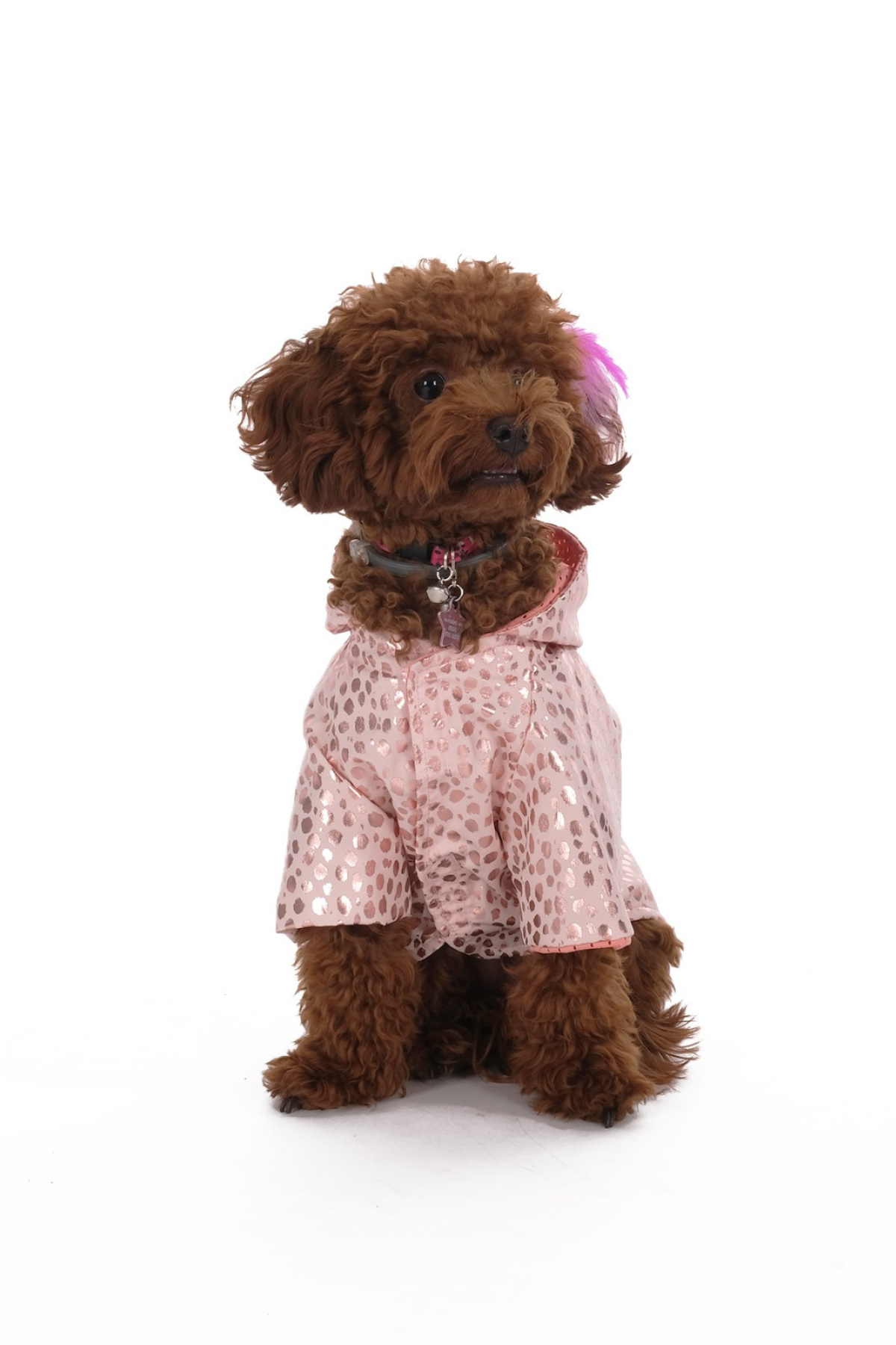 Doredog pembe leopar desenli rüzgarlık