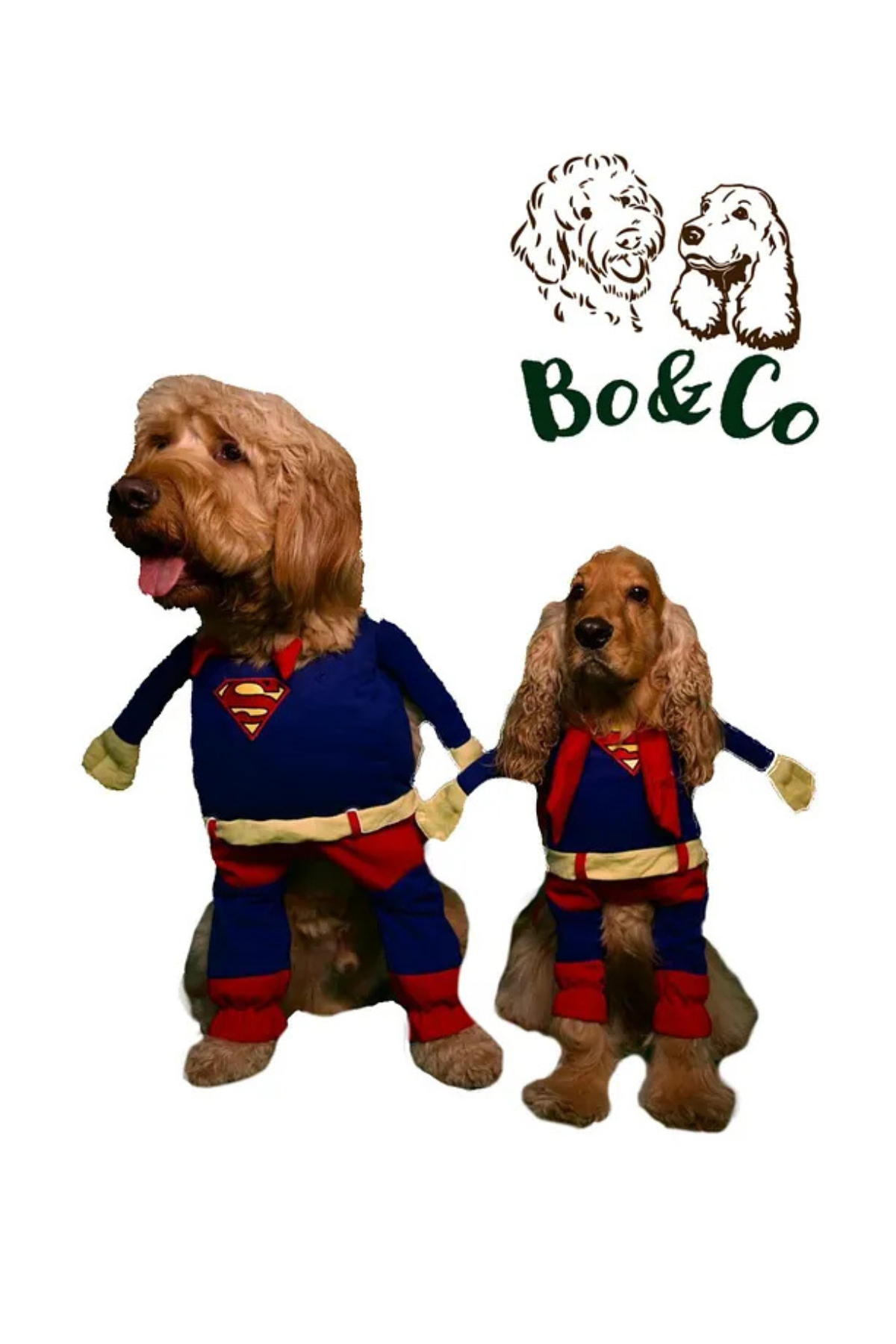 Bo&Co Superman Kostümü